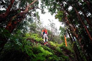 BIB: 
                            <button type="button" onclick="openModal(26201901)" class="btn btn-primary btn-sm float-right btn-popup" data-toggle="modal" data-target=".modal-high-quality">
                        <i class="fas fa-shopping-cart"></i> Add to Cart
                    </button>
                                            <button type="button" onclick="isThisMe(26201901, true)" class="btn btn-success btn-sm float-right btn-popup btn-isme hidden" data-toggle="tooltip" data-placement="bottom" title="นี่คือรูปของคุณใช่ไหม คลิกที่นี่เพื่อเอาเข้าอัลบั้ม">
                        <i class="fas fa-plus"></i> Add to album
                    </button>
                    <button type="button" onclick="isThisMe(26201901, false)" class="btn btn-warning btn-sm float-right btn-popup btn-isnotme hidden">
                        <i class="fas fa-ban"></i> Remove from album
                    </button>